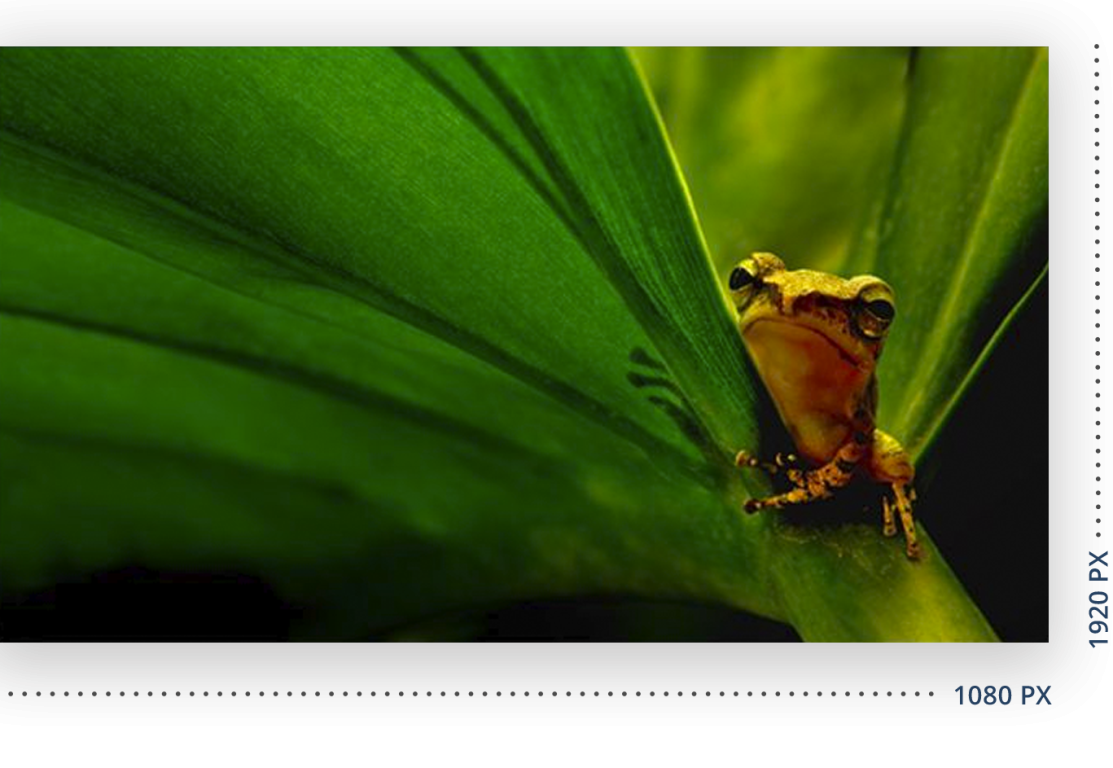 Монитор AOC M2470SWH