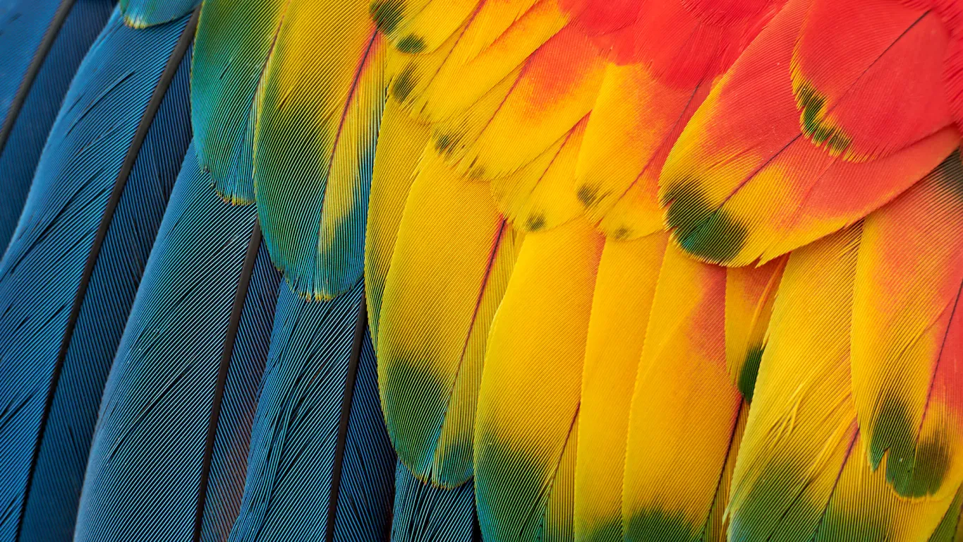 Монитор Dell S3225QS