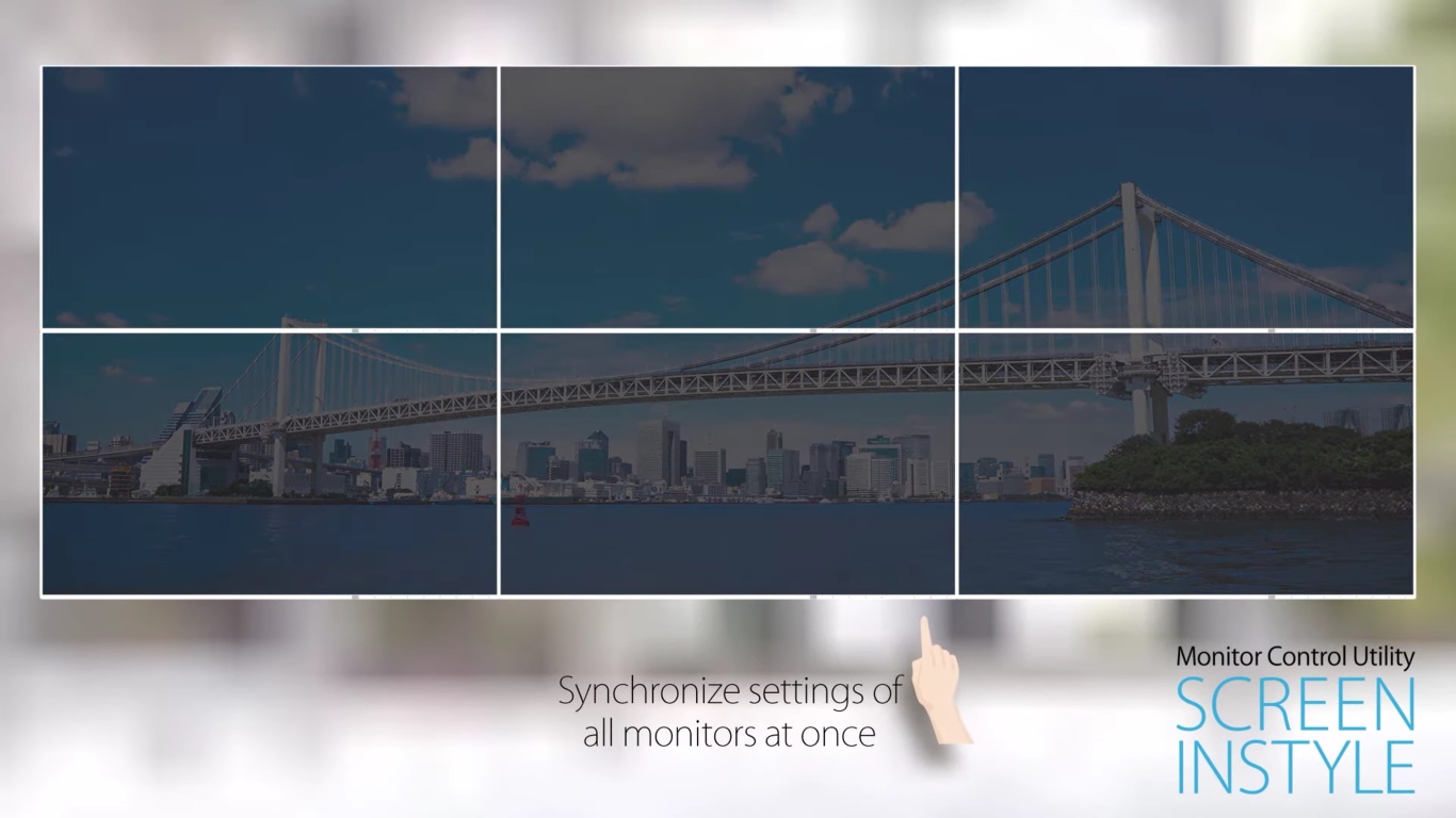 Монитор Eizo FlexScan EV2456