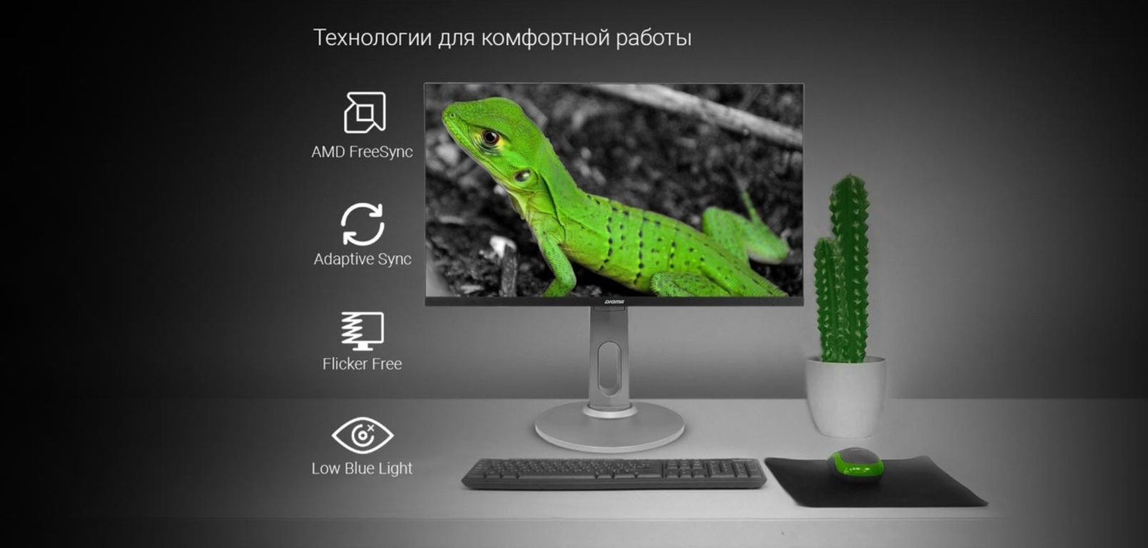 Монитор DIGMA DM-MONB2708