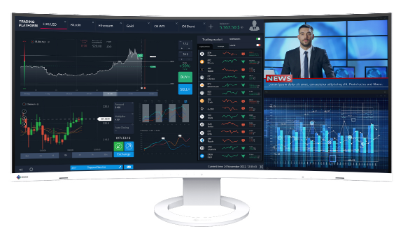 Монитор Eizo FlexScan EV3895-BK