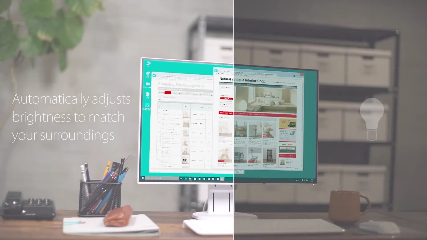 Монитор Eizo FlexScan EV2456