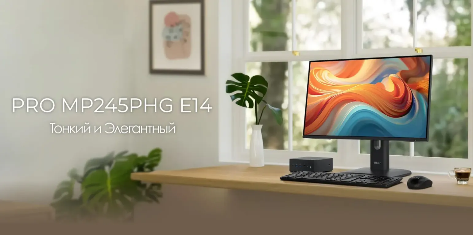 MSI PRO MP245PHG E14