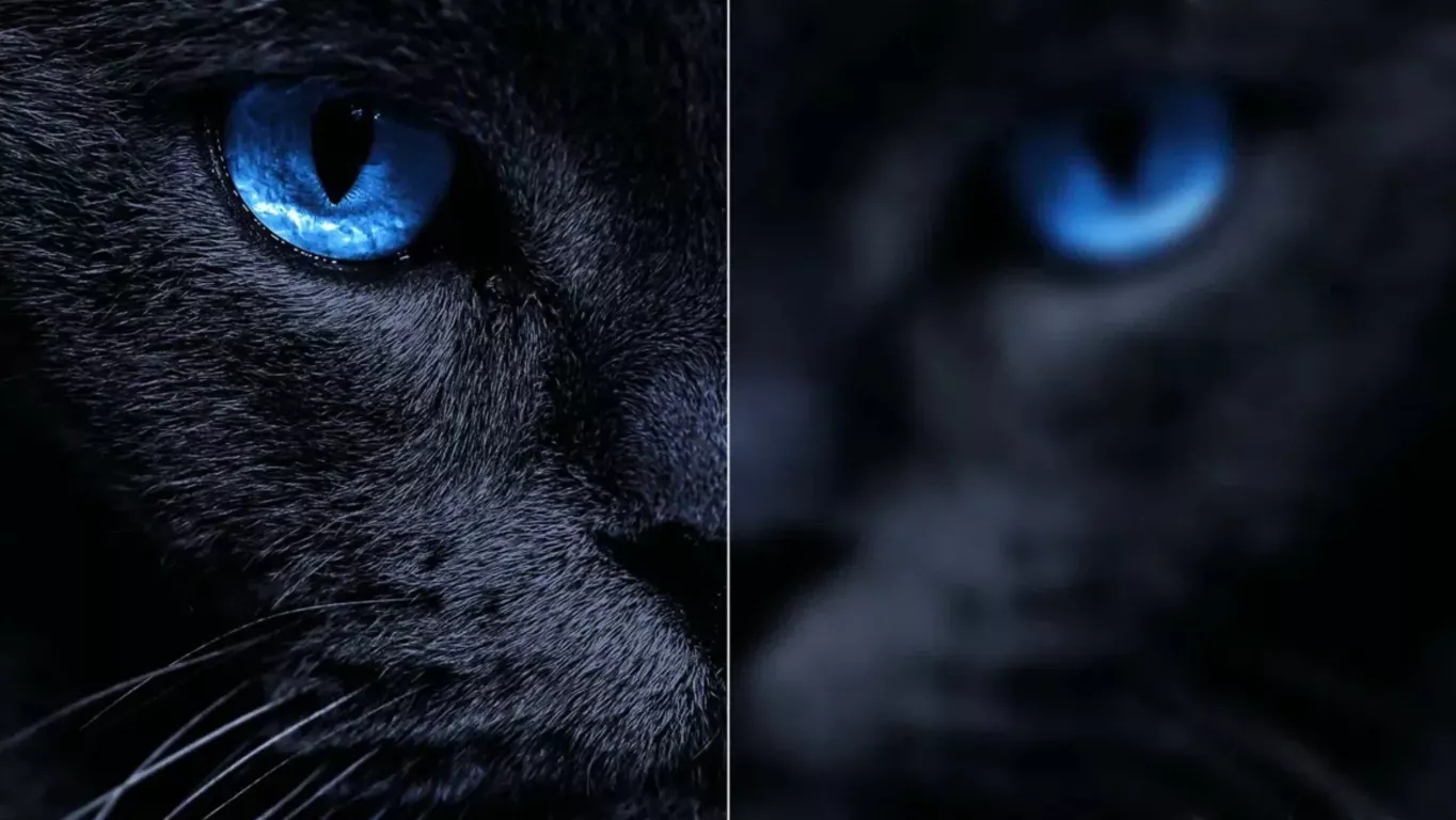 Телевизор TCL 55C6K