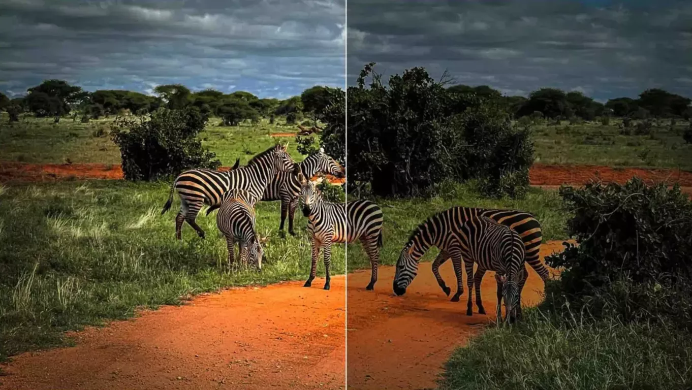 Телевизор TCL 65C765