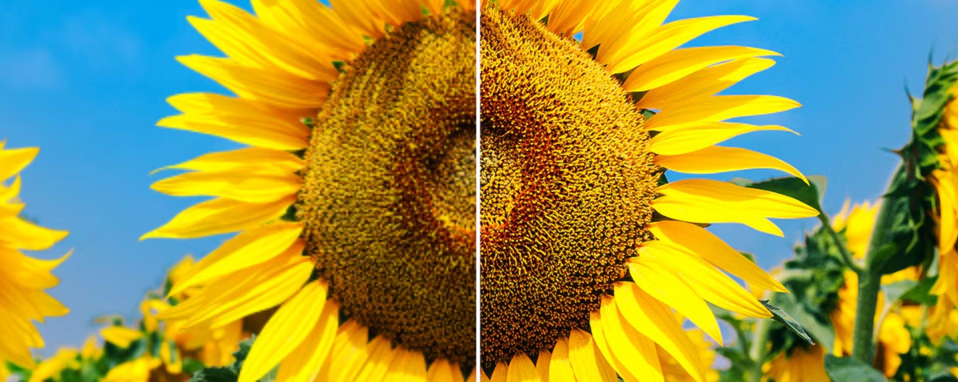 Телевизор Sony XR-75X90L