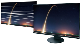 EIZO FlexScan EV2451