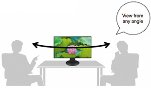 Монитор Eizo FlexScan EV2785