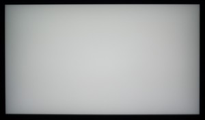 103_ravn_gray1.jpg