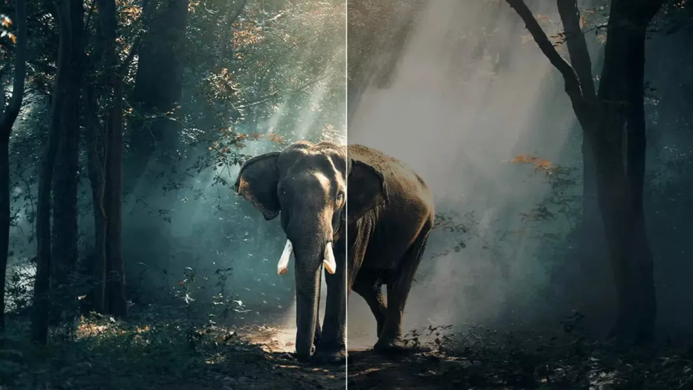 Телевизор TCL 55C6K