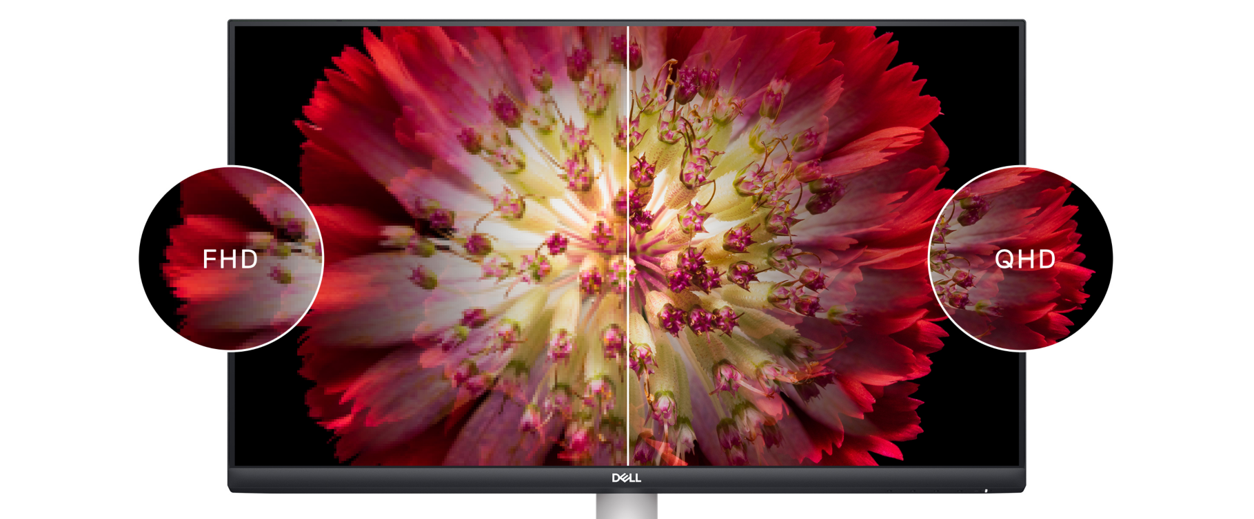 Возможности монитора WQHD DELL S2721DS