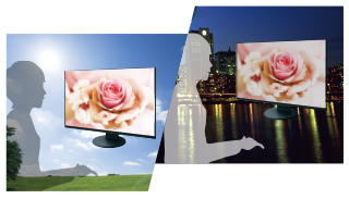 EIZO FlexScan EV2451