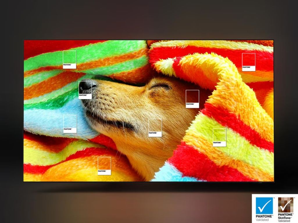 Телевизор Samsung QE77S95D