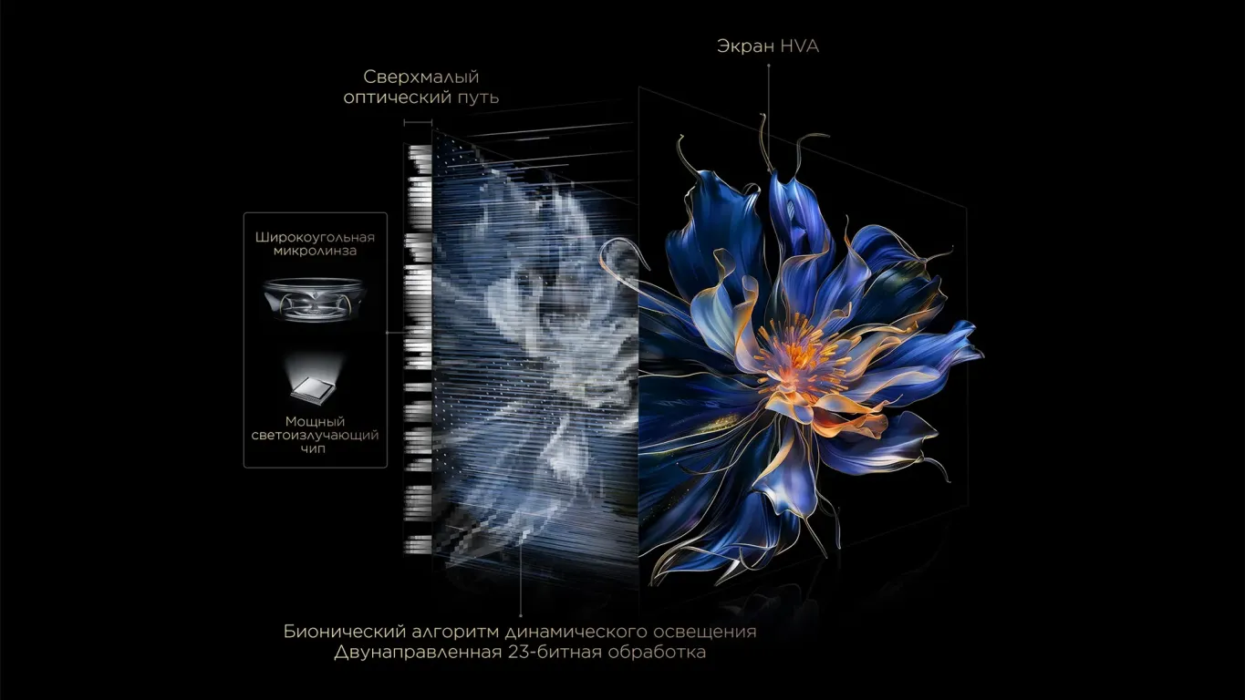 Телевизор TCL 55C6K