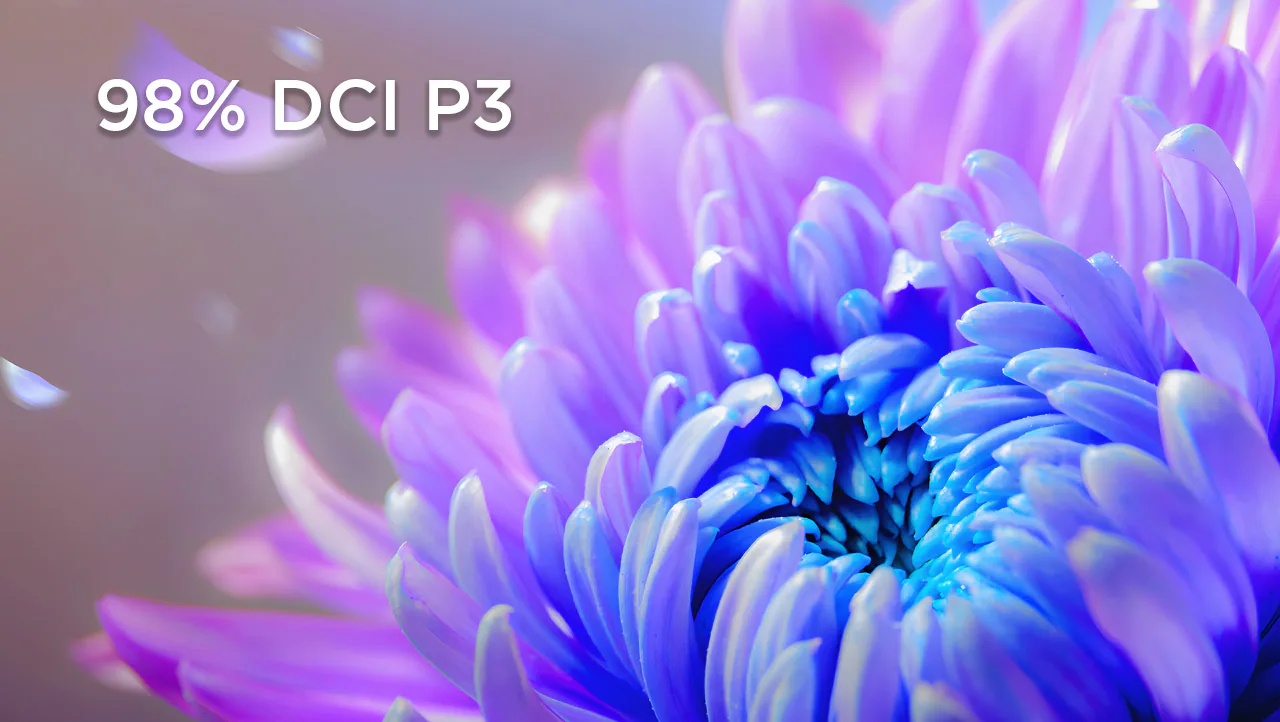 Lenovo ThinkVision P32UD-40