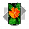 Full HD монитор NEC E271N-BK - фото 5
